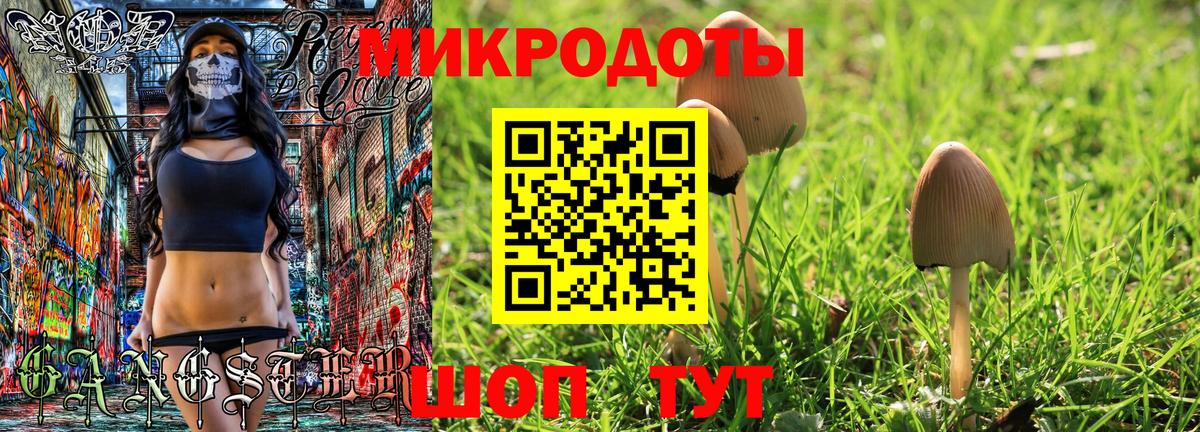 Псилоцибиновые грибы MAGIC MUSHROOMS Лысьва